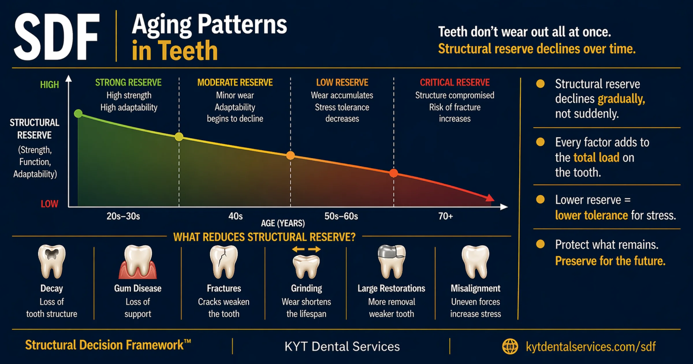 Aging Patterns in Teeth diagram