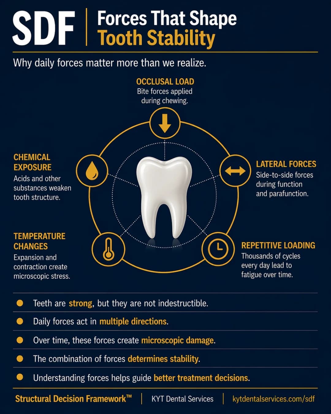Forces That Shape Tooth Stability SDF card artwork