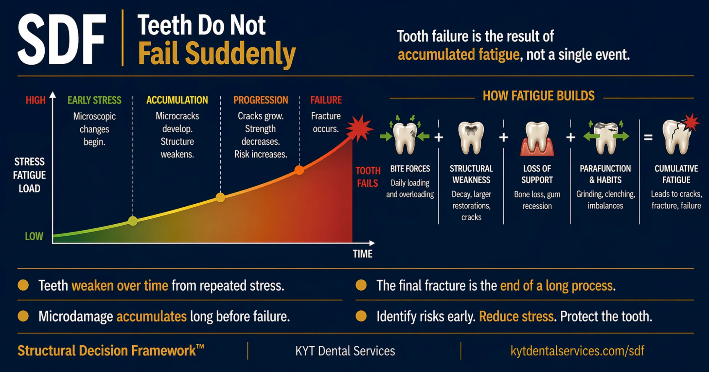 How Teeth Actually Fail